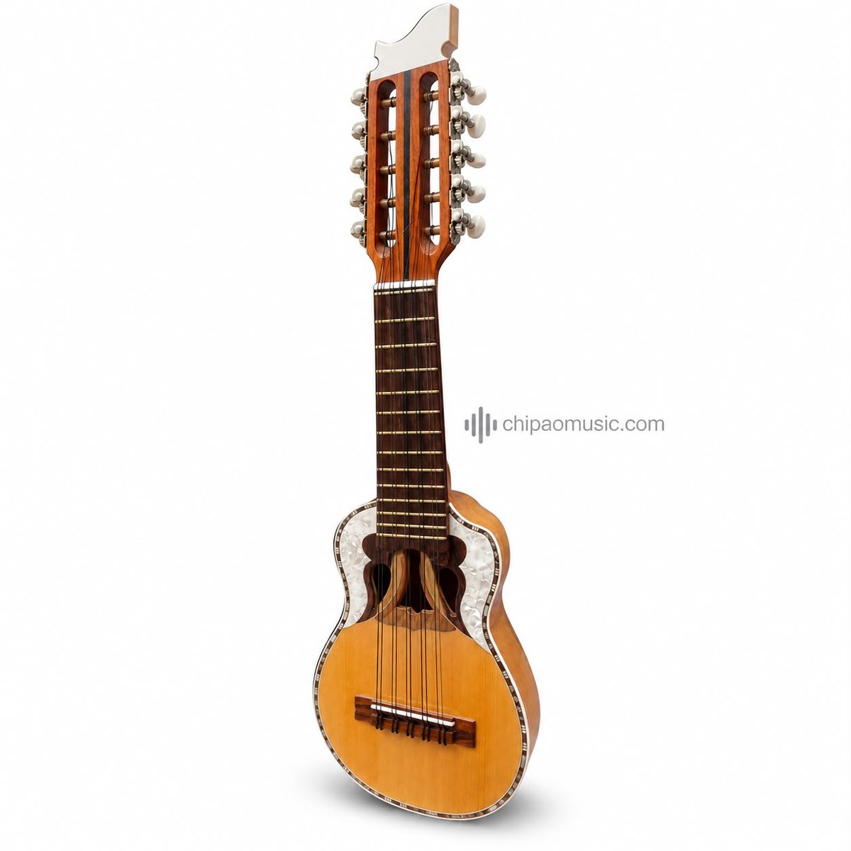 Charango Andino de 10 Cuerdas de Madera